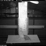 IMG 0041
